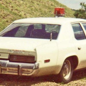 1975_Plymouth_Grand_Fury-rear.jpg